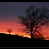 IMG_9520